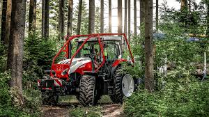 Image result for Wood Green A F S Association