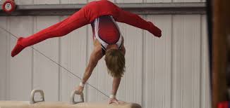 Image result for Swallows Of Helston Gymnastics Club