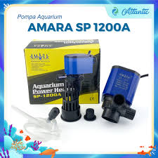 Attēlu rezultāti vaicājumam “Amara sp.”