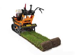 Image result for eliet tehron