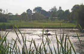 Image result for Long Sutton Cricket Club