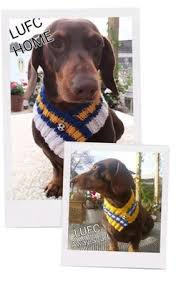 Image result for Leeds Mad Dogs