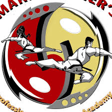 Image result for Professional  Martial Arts Academy