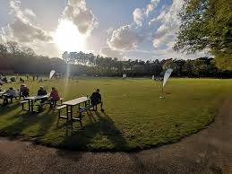 Image result for Wokingx1 Cricket Club