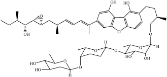 Attēlu rezultāti vaicājumam “Fuligo cinerea”
