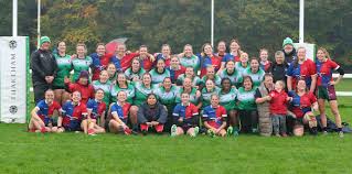 Image result for Haslemere Community Rugby Club