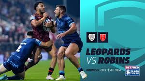 Image result for Rayleigh boys under 7's Leopards- need a Goalie!