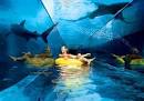 ABC SHARK TANK | irwinnour.