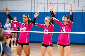 Image result for Ellesmere Port Eels Volleyball Club