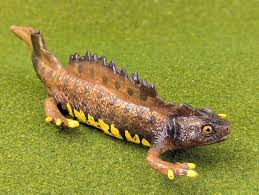 Attēlu rezultāti vaicājumam “Triturus cristatus”