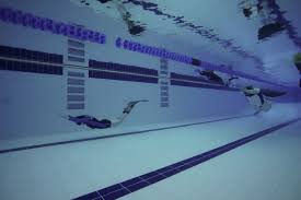 Image result for Notanx Freedive Club