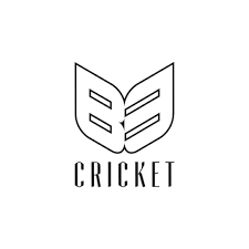 Image result for South Kirkby Cc