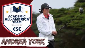 Image result for York University Golf Club