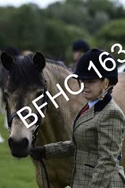 Image result for Blackpool & Fylde Horse Club
