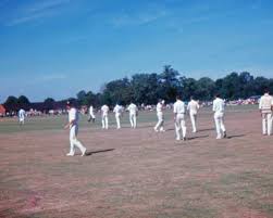 Image result for Effingham Cricket Club
