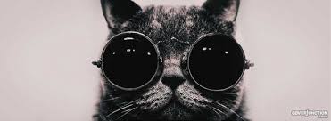 Résultat de recherche d'images pour "des photos de couverture"