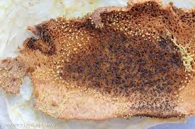 Attēlu rezultāti vaicājumam “Physarum flavicomum”