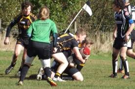 Image result for Skirlaugh Amateur Rugby League Football Club