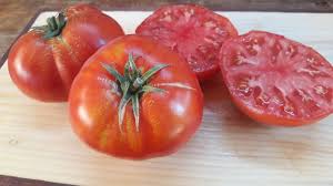 Afbeeldingsresultaat voor kosmonaut volkov 68D tomato