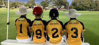 Image result for Hook Norton Junior Cricket Club