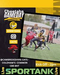 Image result for Chiltern Cheetahs American Football Club