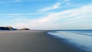 Image result for Ipswich Sc