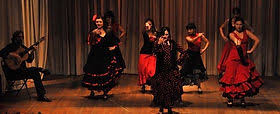 Image result for Flamenco Dance School