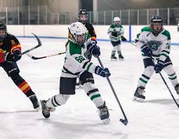 Image result for Streatham Youth Ice Hockey Club