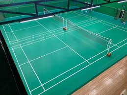 Image result for Raglan Eagles Senior Badminton Club