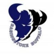 Image result for Basingstoke Buffalo