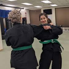 Image result for Budo Warrior Schools