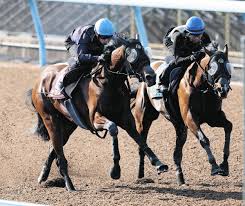 「ヴィクトリア・ウッド」の画像検索結果