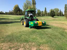 Image result for selvatici tehron