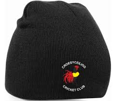 Image result for Croesyceiliog Cricket Club