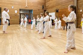 Image result for Sudbury Shotokan Karate Club kugb