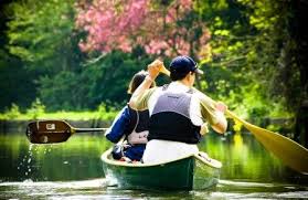 Image result for Stour Valley Canoe Club