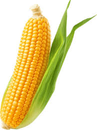 Image result for Mais