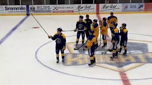 Image result for Leeds Sharks