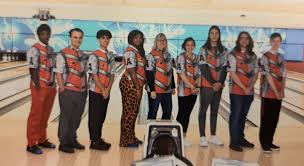 Image result for Ashmole Bowling Club