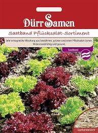 Image result for Pflücksalat