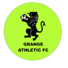 Image result for Grange Park FC