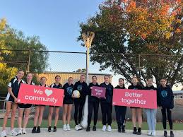 Image result for Southside Netball Club