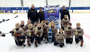 Image result for Lansdown Hockey Club