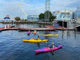 Image result for Paddletastic