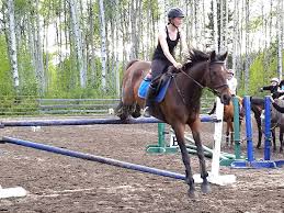 Image result for Lakes Riding Club