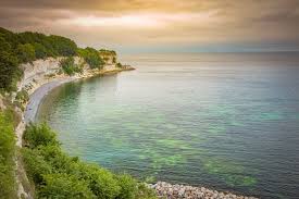 Image result for stevns klint