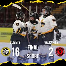 Image result for Cardiff Comets Ladies Ice Hockey