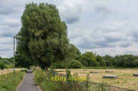 Image result for Leatherhead & Cobham Cc