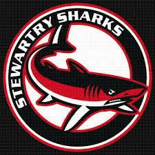 Image result for Stewartry Rugby Football Club