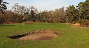 Image result for Reigate Heath Golf Club